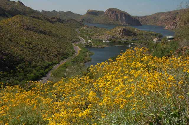 Canyon Lake